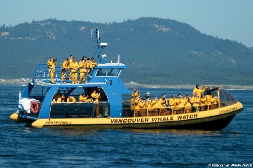 Vancouver Whale Watch